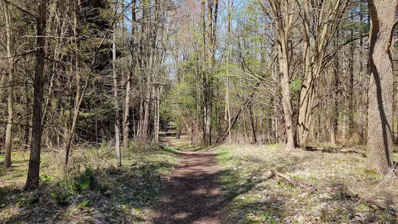 Lakeshore Trail - South Entrance (NO Parking) - Novi, MI