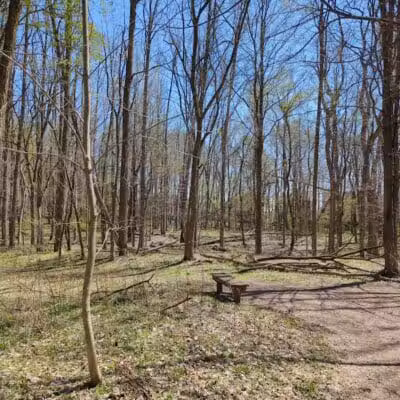Lakeshore Trail - South Entrance (NO Parking) - Novi, MI