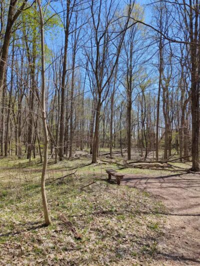 Lakeshore Trail - South Entrance (NO Parking) - Novi, MI
