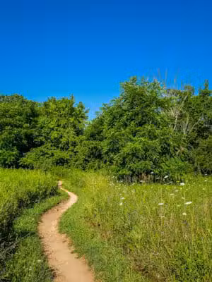 Lakeshore MTB Trailhead (North) - Novi, MI