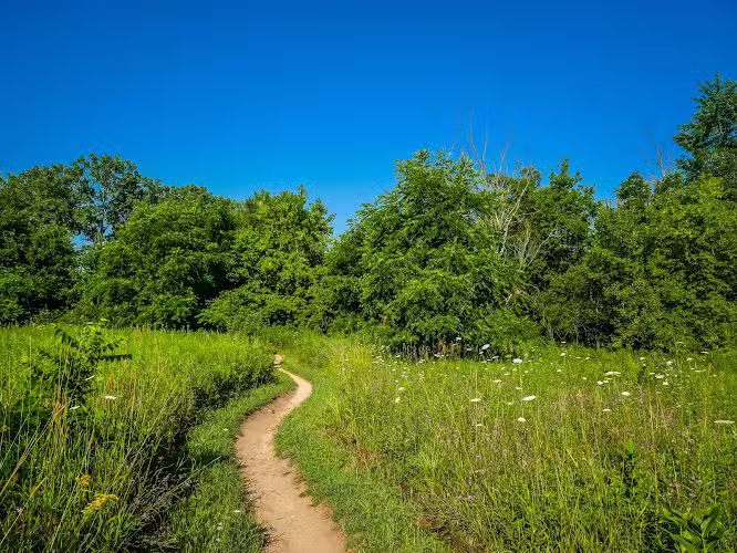 Lakeshore MTB Trailhead (North) - Novi, MI