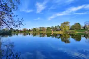 Village Wood Lake Park - Novi, MI