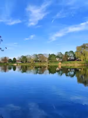 Village Wood Lake Park - Novi, MI