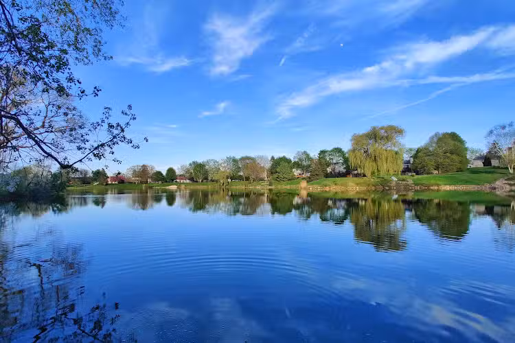 Village Wood Lake Park - Novi, MI