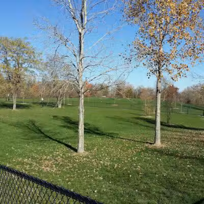 Novi Dog Park - Novi, MI