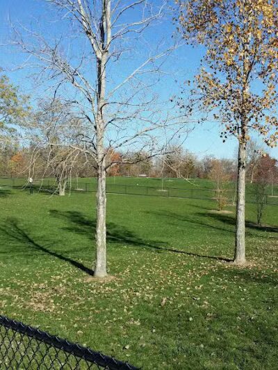 Novi Dog Park - Novi, MI