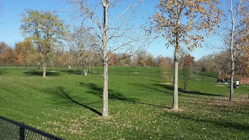 Novi Dog Park - Novi, MI