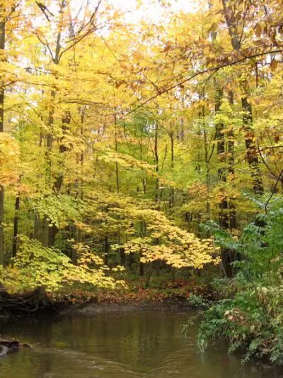 Orchard Hills West Park - Novi, MI