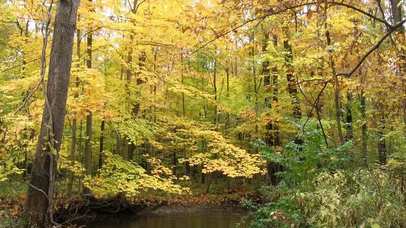 Orchard Hills West Park - Novi, MI