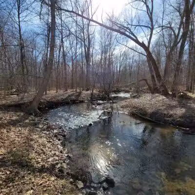 Orchard Hills West Park - Novi, MI