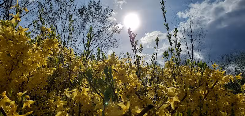 Orchard Hills West Park - Novi, MI