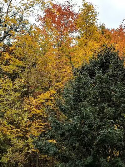 Orchard Hills West Park - Novi, MI