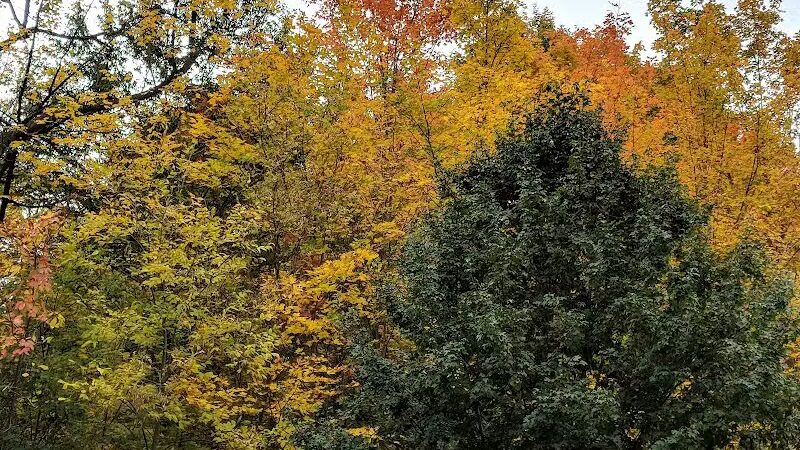 Orchard Hills West Park - Novi, MI