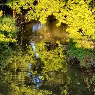 Orchard Hills West Park - Novi, MI