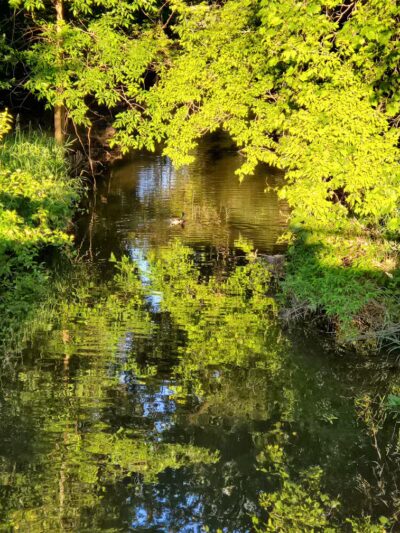 Orchard Hills West Park - Novi, MI