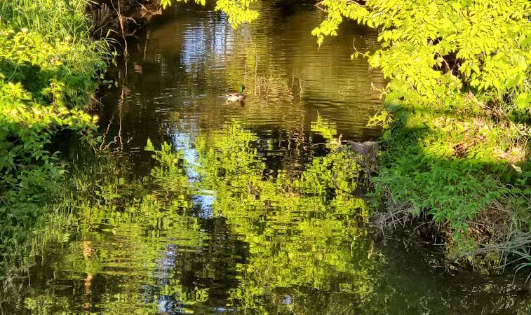 Orchard Hills West Park - Novi, MI