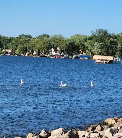 Pavilion Shore Park - Novi, MI