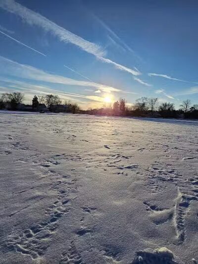 Scenic Overlook #2 - Novi, MI