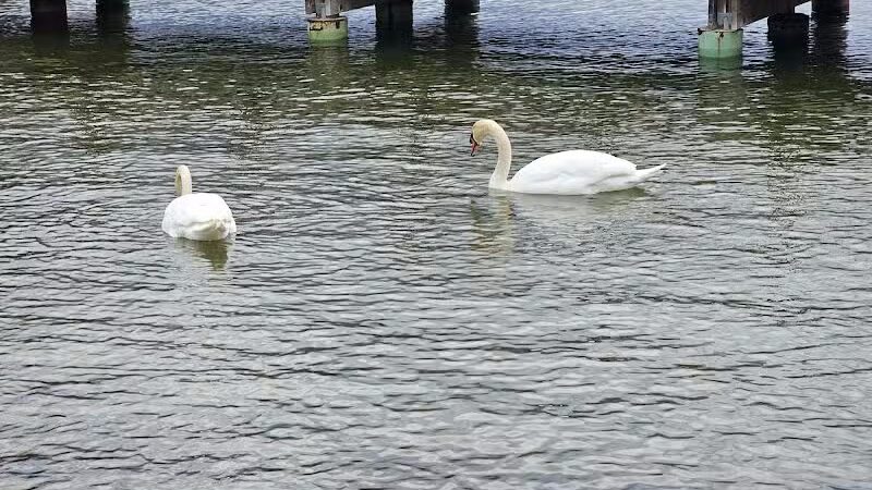 Scenic Overlook #2 - Novi, MI