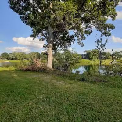 Village Wood Lake Park - Novi, MI