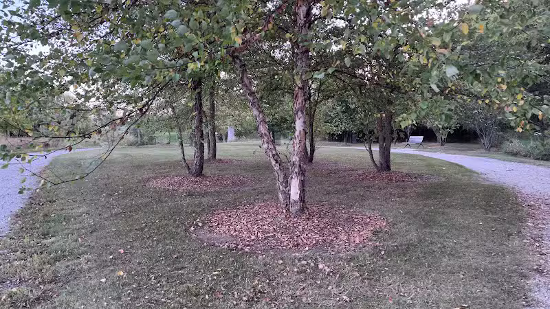 Village Wood Lake Park - Novi, MI