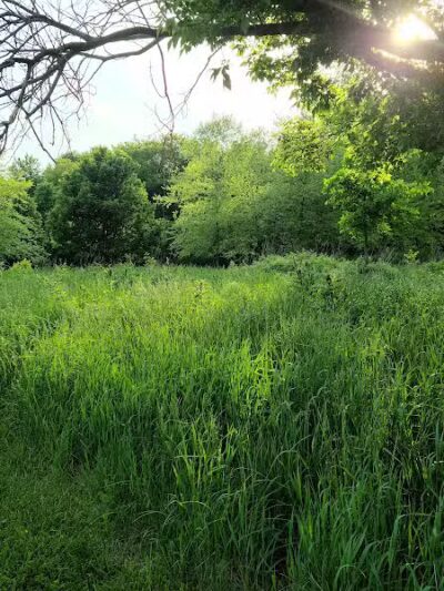 Village Wood Lake Park - Novi, MI