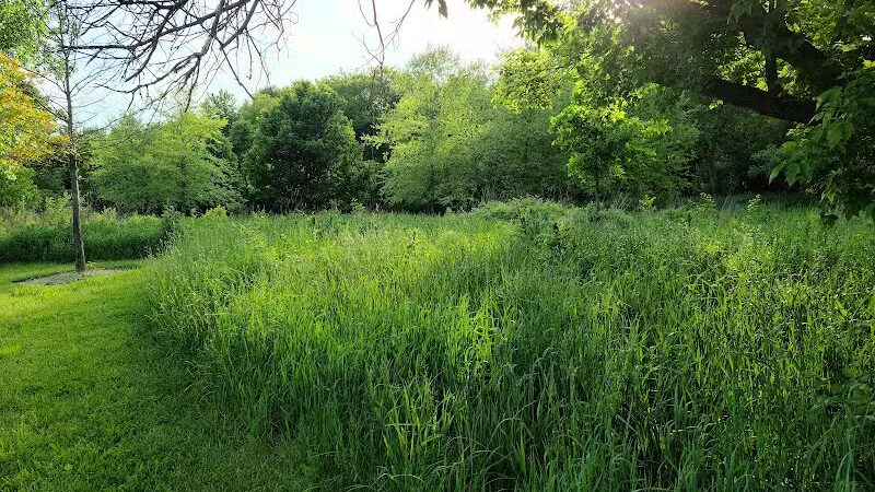 Village Wood Lake Park - Novi, MI