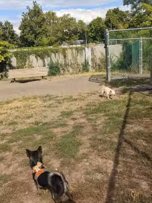 Elizabeth Place Dog Park - Nyack, NY