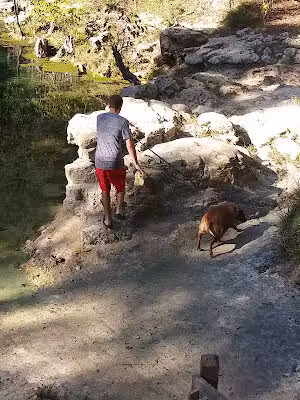 Royal Springs Suwannee River Wilderness Trail - O'Brien, FL
