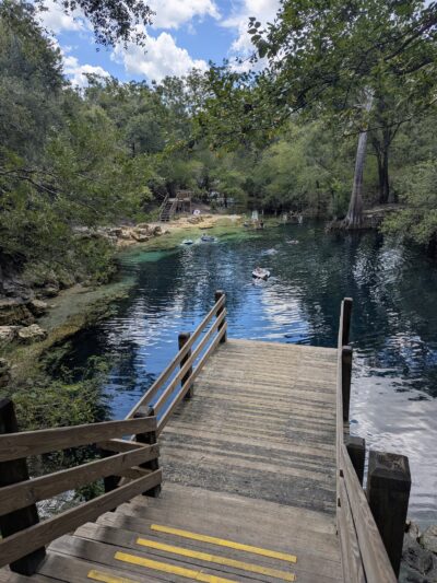 Royal Springs Suwannee River Wilderness Trail - O'Brien, FL