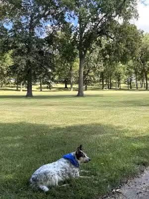 Frick Park - Oak Grove, MO