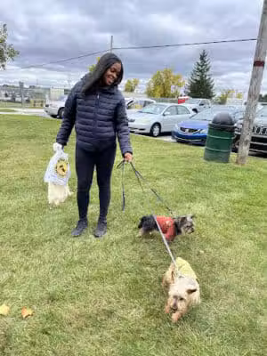Oak Park & Bark - Dog Park (Membership required) - Oak Park, MI