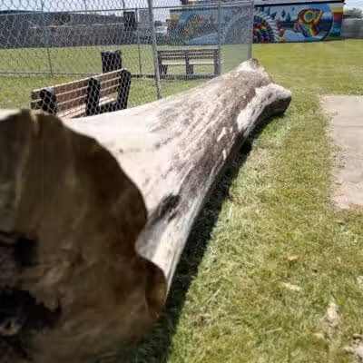Oak Park & Bark - Dog Park (Membership required) - Oak Park, MI