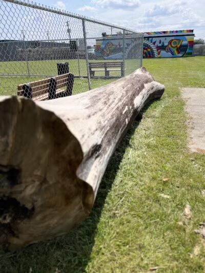 Oak Park & Bark - Dog Park (Membership required) - Oak Park, MI