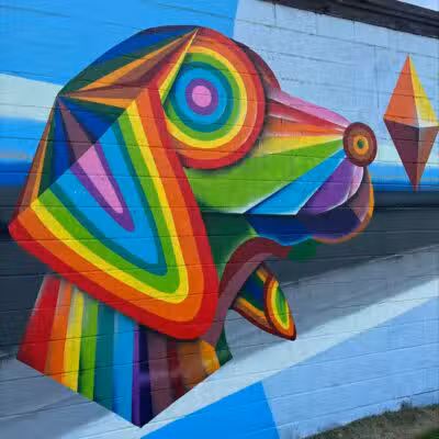Oak Park & Bark - Dog Park (Membership required) - Oak Park, MI
