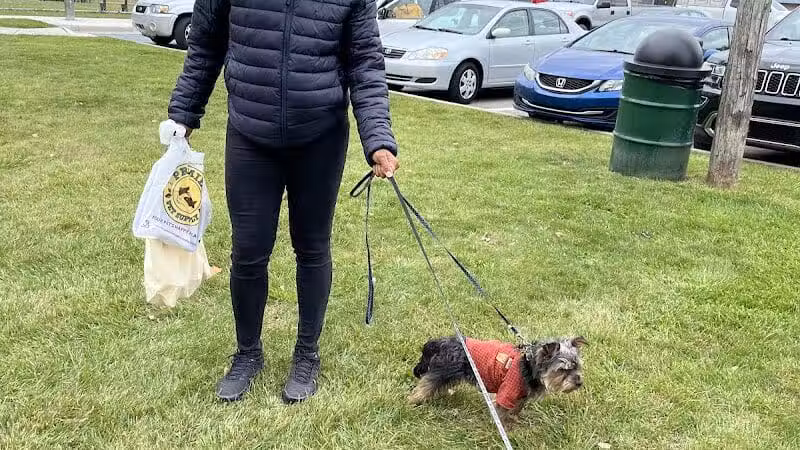 Oak Park & Bark - Dog Park (Membership required) - Oak Park, MI