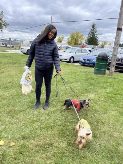 Oak Park & Bark - Dog Park (Membership required) - Oak Park, MI