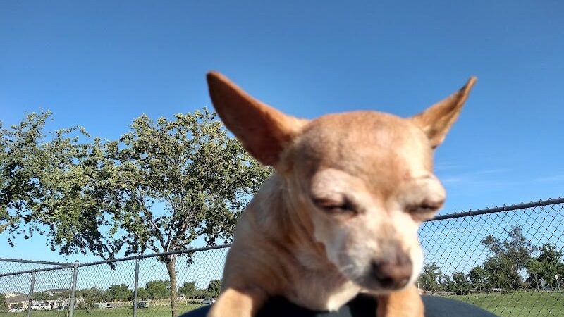 Oakdale Dog Park - Oakdale, CA