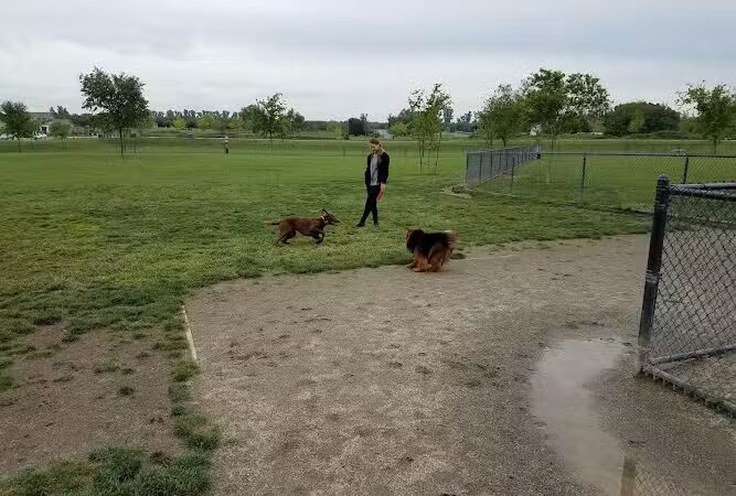 Oakdale Dog Park - Oakdale, CA
