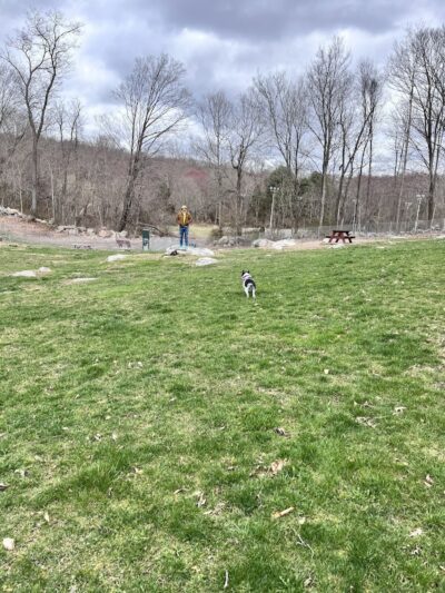 Montville Dog Park - Oakdale, CT