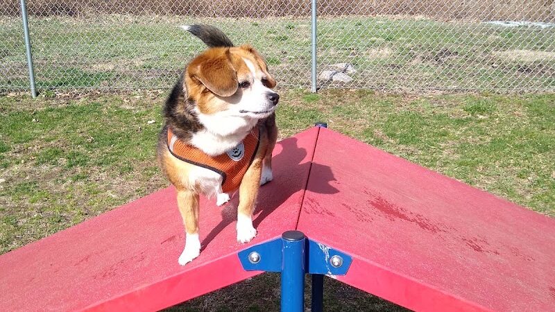 Montville Dog Park - Oakdale, CT