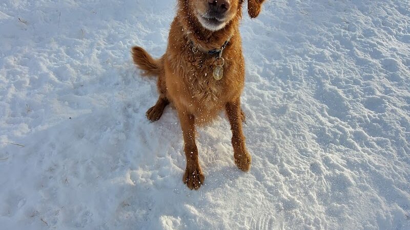 Oakdale Bark Park - Oakdale, MN