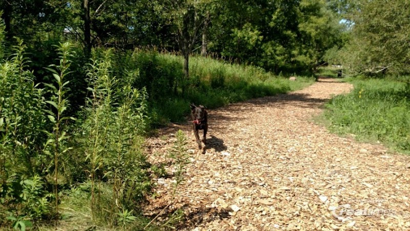 Oakdale Bark Park - Oakdale, MN