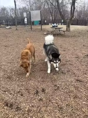 Oakdale Bark Park - Oakdale, MN