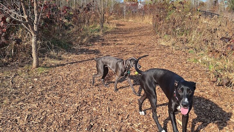 Oakdale Bark Park - Oakdale, MN