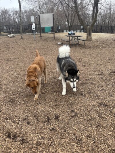 Oakdale Bark Park - Oakdale, MN