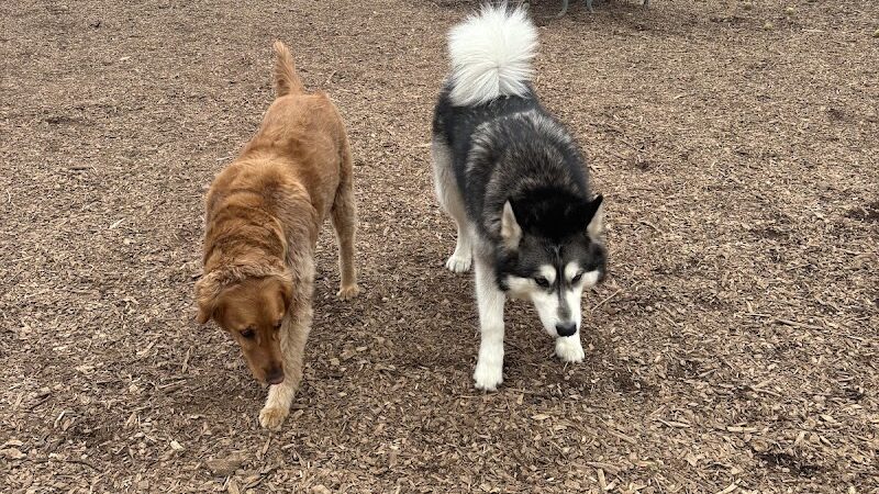 Oakdale Bark Park - Oakdale, MN