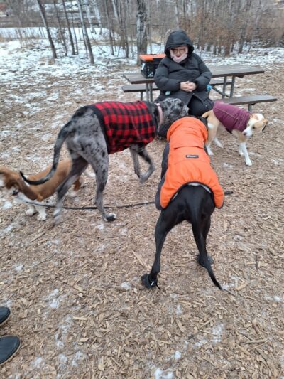 Oakdale Bark Park - Oakdale, MN