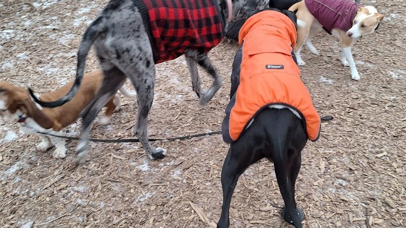 Oakdale Bark Park - Oakdale, MN