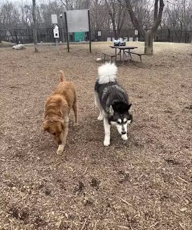 Oakdale Bark Park - Oakdale, MN